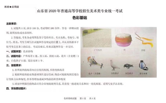 2020山东色彩.jpg